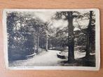 Zeist, 1931, "Brugje in 't Bosch", uitgave "Het Jagershuis", Ophalen of Verzenden, 1920 tot 1940, Gelopen, Utrecht