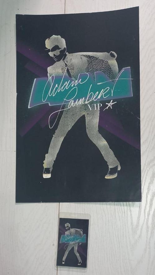 Adam Lambert VIP poster en badge, Verzamelen, Muziek, Artiesten en Beroemdheden, Gebruikt, Poster, Artwork of Schilderij, Ophalen of Verzenden