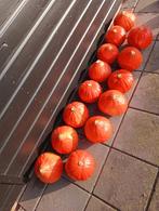 Biologische pompoenen, Diversen, Levensmiddelen, Ophalen