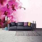 Fotobehang / Behang - Bloemen - Roze Orchideeën, 10 tot 25 m², Roze, Verzenden, Bloemen