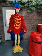 Papegaai kostuum - Carnaval of themafeest, Ophalen, Zo goed als nieuw, Kostuum, Carnaval