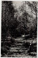 Vierhouten, Paasheuvel, Berkenlaan 1937, Verzenden, 1920 tot 1940, Gelopen, Gelderland