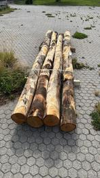 4x Kastanje houten palen 4 meter lang / 20cm dik, Tuin en Terras, Palen, Balken en Planken, Ophalen, Zo goed als nieuw, 250 cm of meer