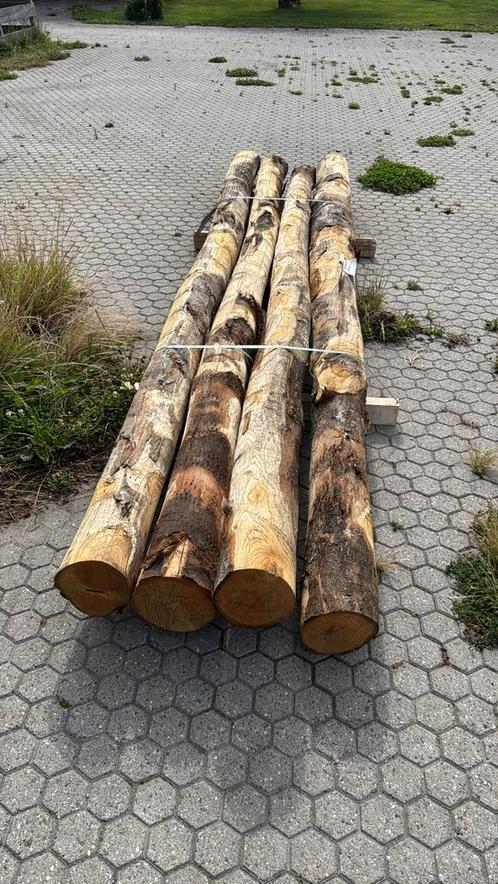 4x Kastanje houten palen 4 meter lang / 20cm dik, Tuin en Terras, Palen, Balken en Planken, Zo goed als nieuw, Palen, 250 cm of meer
