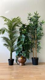 3 kunstplanten, Ophalen, Gebruikt, Binnen