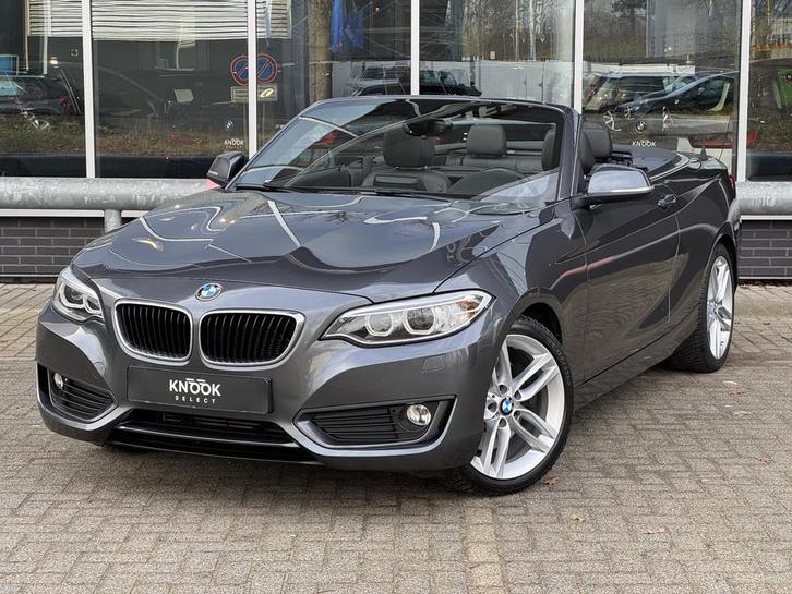 BMW 2-serie Cabrio 228i High Executive Automaat / Navigatie, Auto's, BMW, Bedrijf, Te koop, 2-Serie, ABS, Airbags, Airconditioning