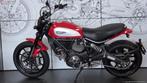 Ducati SCRAMBLER ICON (bj 2015), Bedrijf, Meer dan 35 kW, 803 cc, Naked bike