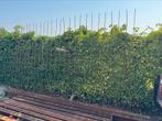 Betonijzer , betonmat betonstaal betonstaaf, Doe-het-zelf en Verbouw, Ophalen, Zo goed als nieuw, 250 mm of meer, Overige typen