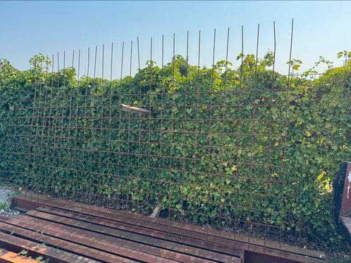 Betonijzer , betonmat betonstaal betonstaaf, Doe-het-zelf en Verbouw, IJzerwaren en Bevestigingsmiddelen, Zo goed als nieuw, Overige typen