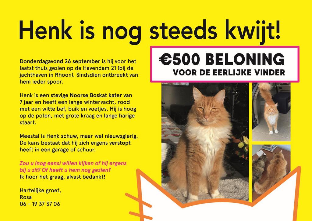 VERMIST: Henk - Noorse Boskat - Rhoon, Dieren en Toebehoren, Katten en Kittens | Overige Katten, Kater
