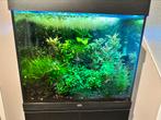 Aquarium Juwel Lido 120 inc. meubel & Eheim filter, Verzenden, Zo goed als nieuw, Leeg aquarium