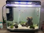 Aquarium SuperFish home 45, Ophalen, Zo goed als nieuw