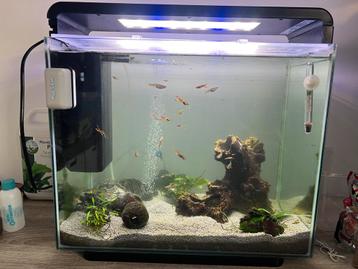Aquarium SuperFish home 45 beschikbaar voor biedingen