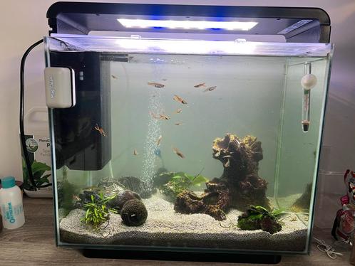 Aquarium SuperFish home 45, Dieren en Toebehoren, Vissen | Aquaria en Toebehoren, Zo goed als nieuw, Ophalen