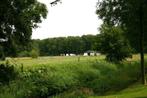 Te huur stalling met weidegang, Dieren en Toebehoren, Stalling en Weidegang, Weidegang