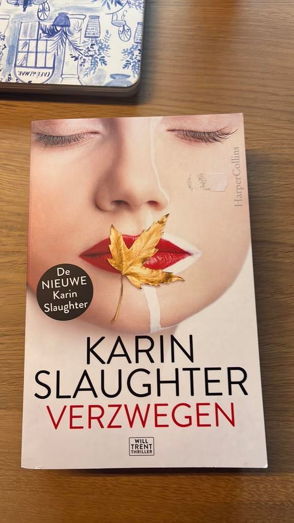 Karin Slaughter - Verzwegen, Boeken, Ophalen of Verzenden, Zo goed als nieuw, Karin Slaughter