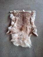 Rendieren huid, Ophalen