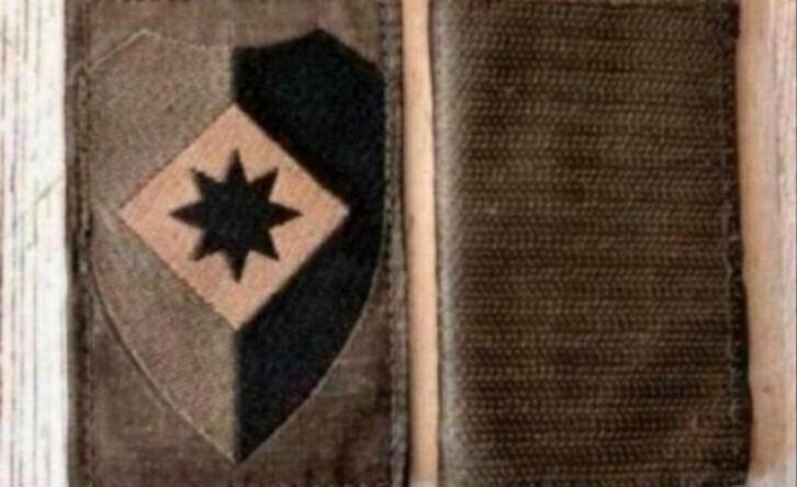 Landmacht Embleem-4, Verzamelen, Militaria | Algemeen, Landmacht, Embleem of Badge, Nederland, Ophalen of Verzenden