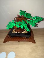 lego bonsai boom 10281, Ophalen of Verzenden, Zo goed als nieuw