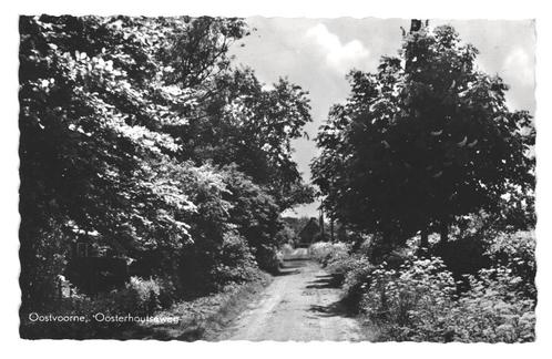 991027 Oostvoorne Oosterhoutseweg jr 50 ZH Gelopen met, Verzamelen, Ansichtkaarten | Nederland, Gelopen, Zuid-Holland, 1940 tot 1960