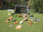 Complete terrarium 80 bij 50 bij 50, Dieren en Toebehoren, Reptielen en Amfibieën | Toebehoren, Ophalen, Zo goed als nieuw, Terrarium of Paludarium