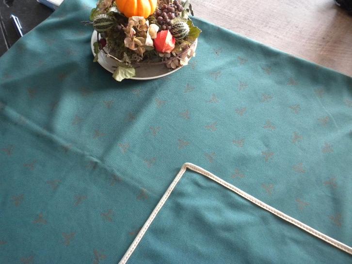 Kerstkleed, Diversen, Kerst, Zo goed als nieuw, Ophalen of Verzenden