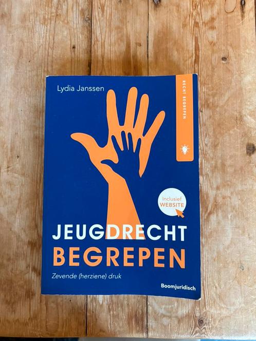 Lydia Janssen - Jeugdrecht begrepen, Boeken, Wetenschap, Zo goed als nieuw, Sociale wetenschap, Ophalen of Verzenden