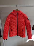 Bogner Fire and Ice Rood skijas, Dons - mt XS, Kleding | Dames, Wintersportkleding, Ophalen, Bogner, Zo goed als nieuw, Jack