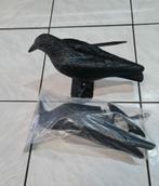 Vogel is nieuw nooit gebruikt zit in de verpakking, Dieren en Toebehoren, Mannelijk