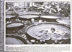Hortus A'dam 1915; de Victoria Regia in bloei, Verzamelen, Verzenden, Voor 1940, Gebruikt, Overige onderwerpen