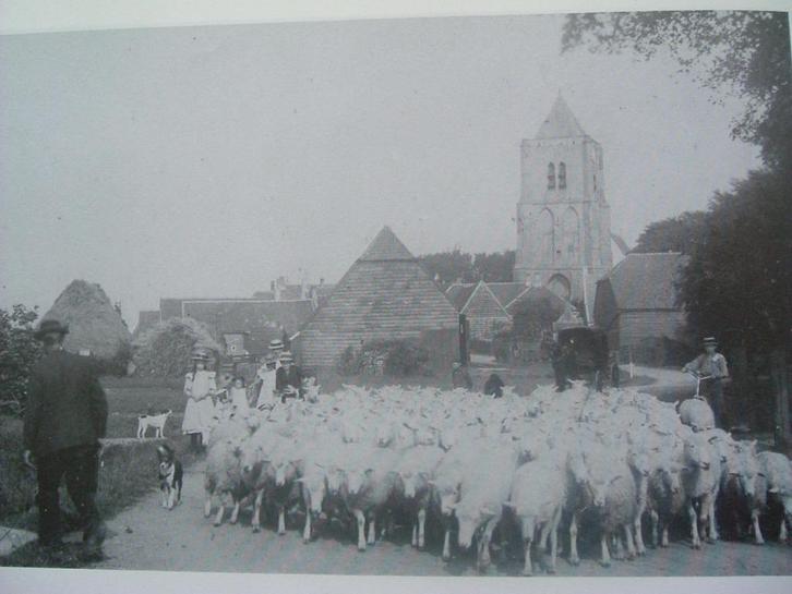 Het plattelandsleven van Schouwen-Duiveland in vroeger tijd., Boeken, Geschiedenis | Vaderland, Zo goed als nieuw, Ophalen of Verzenden
