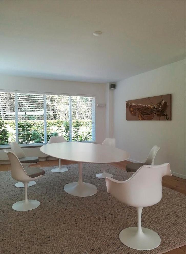 kussens tulipe Eero Saarinen tulipe stoelen tafels, Huis en Inrichting, Woonaccessoires | Kussens, Nieuw, Overige kleuren, Vierkant