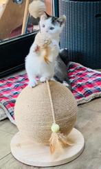 Handgemaakte touwbol - Designed by Lotte - krabpaal, Ophalen, Zo goed als nieuw