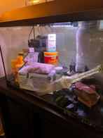 Aquarium, Dieren en Toebehoren, Ophalen of Verzenden, Gebruikt, Leeg aquarium