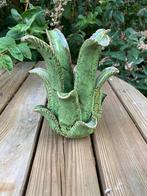 WAXINEHOUDER ALOË VERA IN GROEN 16 cm, Ophalen of Verzenden
