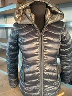 Jas Beaumont maat 36, Kleding | Dames, Jassen | Winter, Ophalen of Verzenden, Zo goed als nieuw, Maat 36 (S)