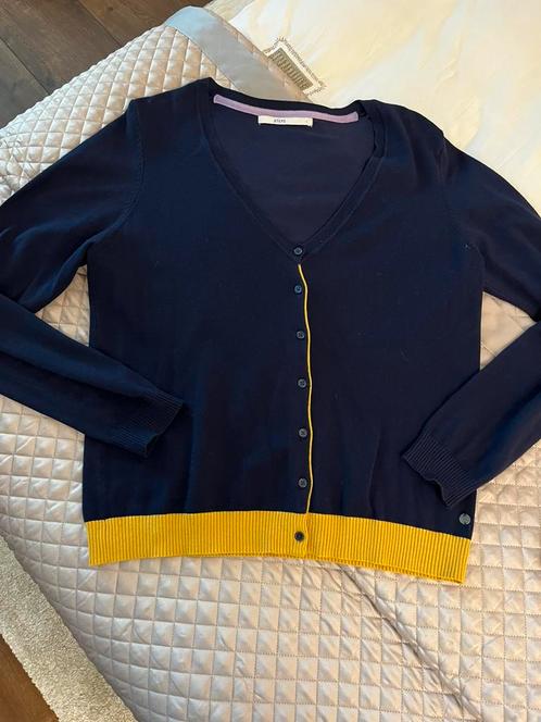 ZGAN! Mooie donkerblauwe vest van Steps maat L!, Kleding | Dames, Truien en Vesten, Zo goed als nieuw, Maat 42/44 (L), Blauw, Verzenden