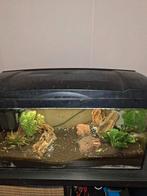 Aquarium, Ophalen, Gebruikt, Gevuld zoetwateraquarium