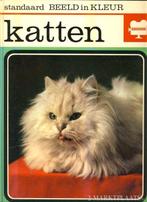 KATTEN - Adriano Torregrossa (qwe), Ophalen of Verzenden, Zo goed als nieuw, Katten