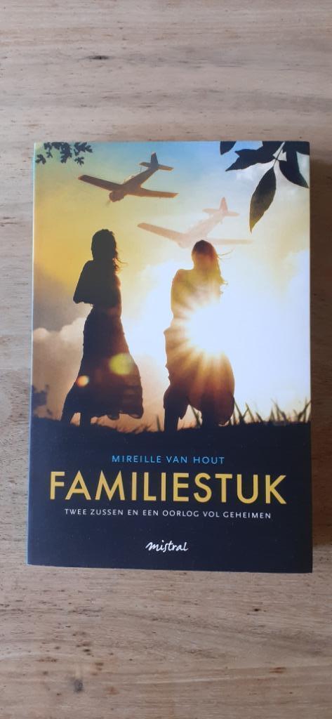Familiestuk, Boeken, Romans, Zo goed als nieuw, Nederland, Ophalen of Verzenden