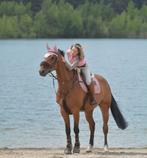 Te koop; KWPN allround merrie van Grand slam VDL x Skippy2, Dieren en Toebehoren, Paarden, Merrie, 170 tot 175 cm, Springpaard