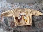 Gave sweater zara maat 92, Ophalen of Verzenden, Zo goed als nieuw, Jongen of Meisje, Trui of Vest
