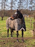 Stalling/paardenrusthuis gezocht voor lief sportpaard, Dieren en Toebehoren, Weidegang