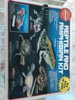 Vintage Skillcraft Reptile And Amphibian model Kit, Ophalen of Verzenden, Zo goed als nieuw, Groter dan 1:32