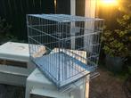 Honden benches, Dieren en Toebehoren, Ophalen, Gebruikt