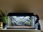 Leuk beginners aquarium. 15 euro, Dieren en Toebehoren, Vissen | Aquaria en Toebehoren, Ophalen, Gebruikt, Leeg aquarium