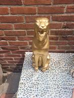 Grote beeld panter goud 19 cm hoog, Ophalen, Zo goed als nieuw