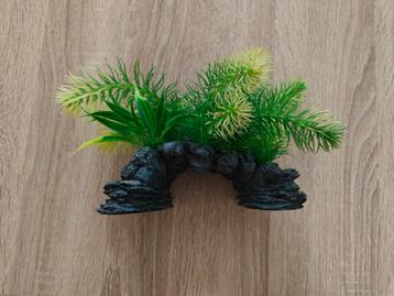 Aquarium Decoratie  beschikbaar voor biedingen