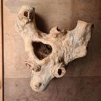 Groot stuk plataan voor houtsnijder of beeldhouwer, Ophalen