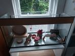 Terrarium voor een hamster (oud aquarium), Ophalen, Gebruikt, 60 tot 90 cm, 75 tot 110 cm